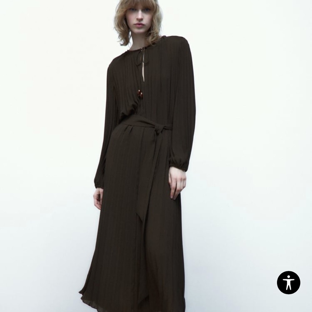 Zara pleated long dress